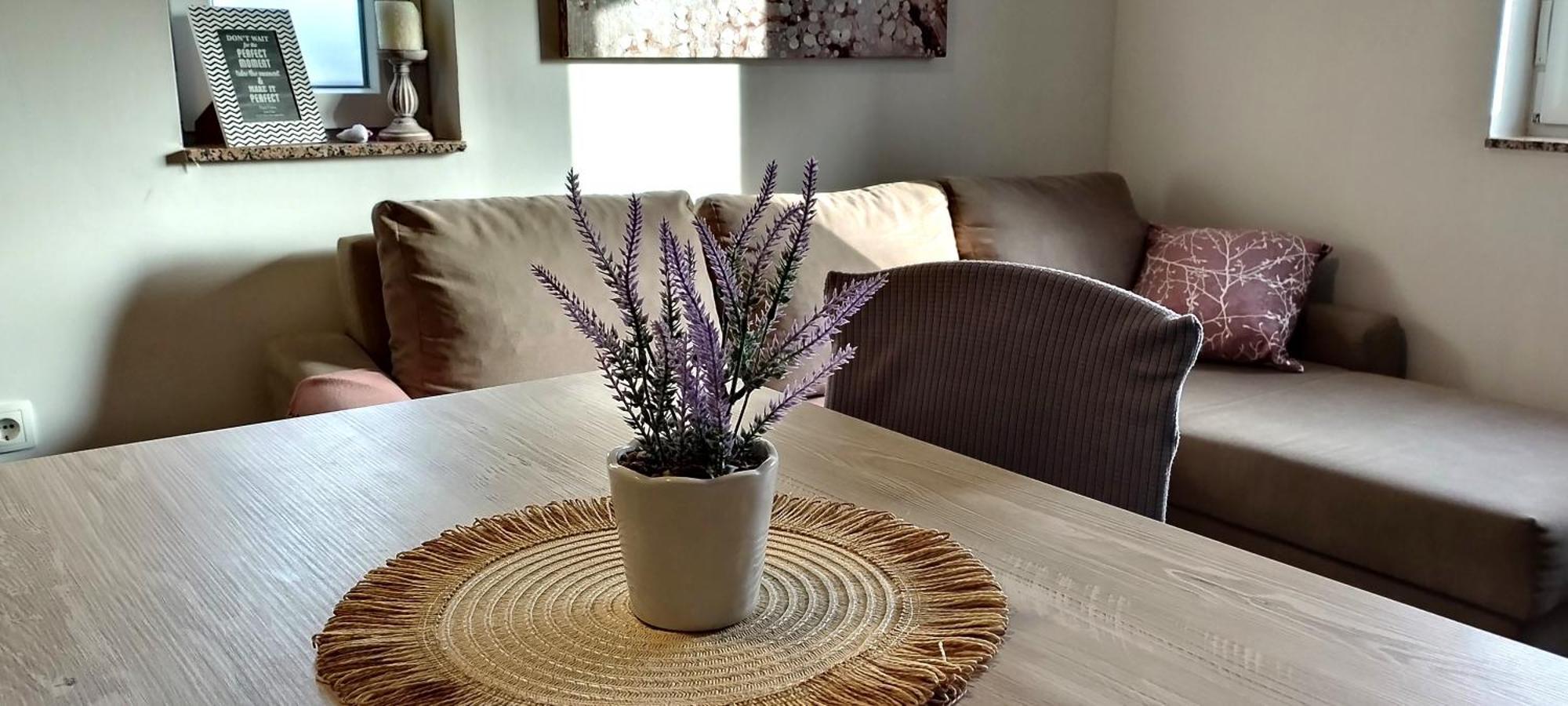Apartment Morini